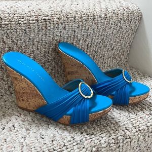 Blue wedges